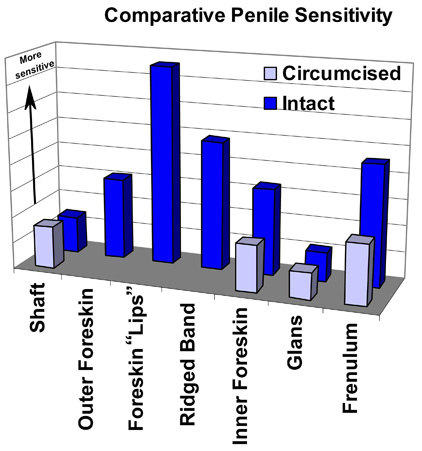 Penile Sensitivity Chart. Data provided by Sorrells, et. al.